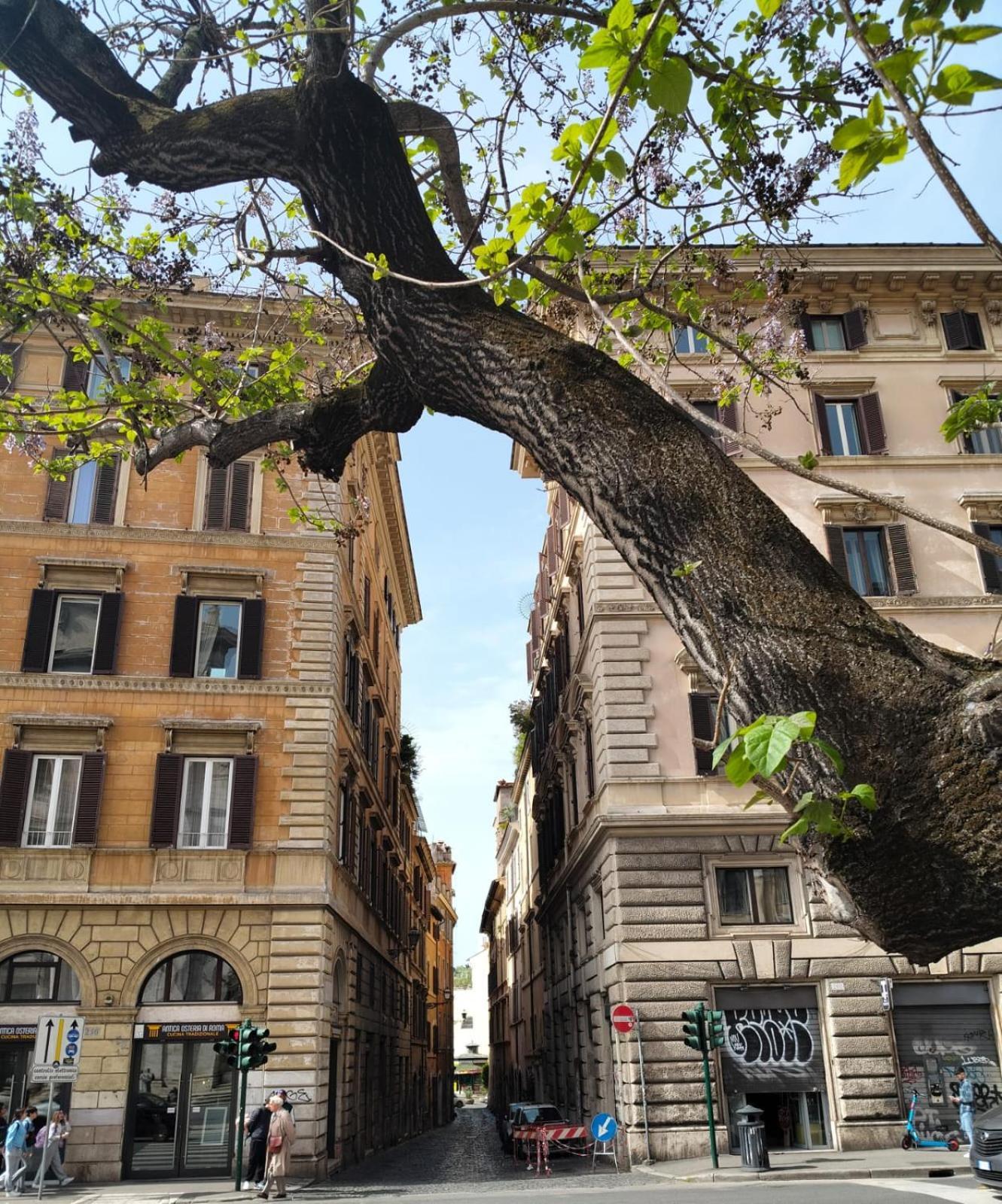 Vatican Near Sweet Home Terrace Рим Екстериор снимка